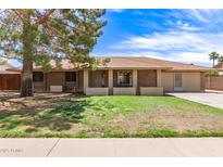 Charming single-story home with a well-maintained lawn and mature tree in a sunny, residential neighborhood at 4107 W Campo Bello Dr, Glendale, AZ 85308