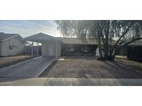 Charming single-story home with a covered front porch and mature shade tree at 14620 N 31St Ln, Phoenix, AZ 85053