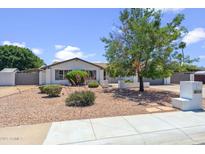 Charming single-story home featuring lush landscaping, mature trees, and a well-maintained gravel yard at 5319 E Gelding Dr, Scottsdale, AZ 85254