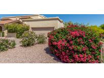 Beautiful home with lovely landscaping, including bougainvillea and desert plants, near the tan garage door at 16734 E Gunsight Dr # 109, Fountain Hills, AZ 85268
