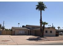 Charming single-story home featuring a lush palm tree and an expansive driveway for ample parking at 4517 S Grandview Ave, Tempe, AZ 85282