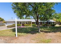 Charming single-story home with a well-maintained lawn, flowering shrubs, and a bright yellow front door at 7042 N 13Th St, Phoenix, AZ 85020