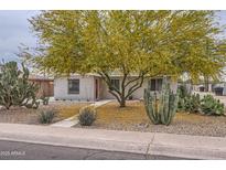 Charming home featuring desert landscaping, including mature trees and native cacti at 2021 W Clarendon Ave, Phoenix, AZ 85015