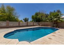 Sparkling private pool with mature landscaping, perfect for outdoor relaxation and entertaining at 1617 W Pecan Rd, Phoenix, AZ 85041