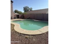 Backyard pool with stone border offers refreshing outdoor oasis, surrounded by privacy fence at 284 W Settlers Trl, Casa Grande, AZ 85122