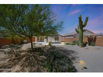 Charming desert backyard featuring a covered patio, mature trees, and a towering saguaro cactus at 4045 E Desert Marigold Dr, Cave Creek, AZ 85331