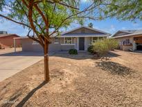 Charming single-story home with a gray exterior, well-maintained landscaping, and a long driveway at 1019 N 62Nd Ave, Phoenix, AZ 85043