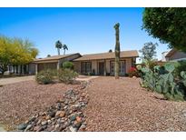 Landscaped front yard with desert plants, stone accents and a charming single-story home at 782 W Gail Dr, Chandler, AZ 85225