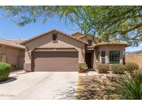 Charming single-story home with a two-car garage and a well-maintained front yard at 45028 W Cypress Ln, Maricopa, AZ 85139
