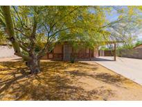 Cozy home featuring desert landscaping and a charming tree at 525 N 94Th Way, Mesa, AZ 85207