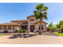 Stunning home featuring manicured landscaping, a brick driveway, and a grand entrance with a towering palm tree at 14107 W Christy Dr, Surprise, AZ 85379