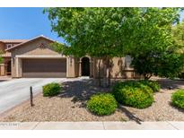 Inviting single-story home featuring a charming front yard with mature tree and desert landscaping at 11952 W Overlin Ln, Avondale, AZ 85323