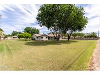 Expansive front yard and charming single-story home provide a peaceful and inviting atmosphere at 12548 E Cloud Rd, Chandler, AZ 85249