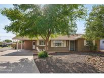 Charming single-story home featuring a mature tree, covered parking, and well-maintained landscaping in front yard at 3202 N 21St St, Phoenix, AZ 85016