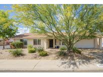 Charming single-story home featuring a well-maintained front yard with desert landscaping and a mature shade tree at 1002 E Topeka Dr, Phoenix, AZ 85024
