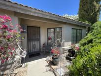 Inviting home entrance with security door, charming decor, and vibrant bougainvillea bushes at 6512 E Portia Cir, Mesa, AZ 85215