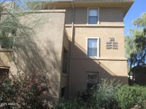 View of the home's exterior, showing its architecture, with trees and shrubs, and multiple windows at 20100 N 78Th N Pl # 3212, Scottsdale, AZ 85255