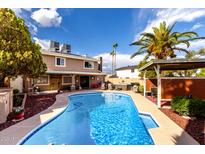Inviting backyard pool with spa, covered patio, palm tree, and clear blue skies, perfect for outdoor relaxation and entertainment at 3377 W Grandview Rd, Phoenix, AZ 85053