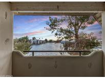 Scenic balcony view overlooking the tranquil waterfront with lush greenery and peaceful homes at sunset at 1825 W Ray Rd # 2111, Chandler, AZ 85224