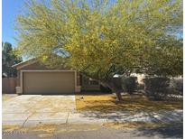 Charming single-story home featuring a two-car garage and a mature, flowering tree in the front yard at 7037 W Cavalier Dr, Glendale, AZ 85303