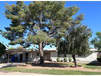 Charming single story home with mature trees and lush, green lawn at 3749 E Laurel Ln, Phoenix, AZ 85028