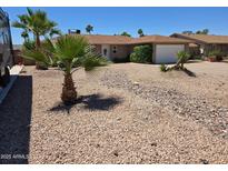 Charming single story home with desert landscaping and mature palm trees in front yard at 909 W Mesquite St, Chandler, AZ 85225