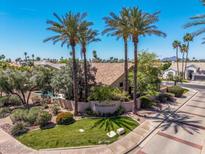 Tradewinds community entrance with mature palm trees, a well-kept lawn, and flowering shrubs at 9571 N 117Th St, Scottsdale, AZ 85259