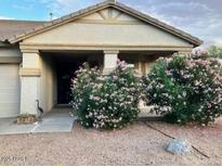 Charming single-story home with a well-maintained front yard and beautiful flowering bushes at 171 W Hawaii Dr, Casa Grande, AZ 85122