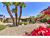 Charming home with desert landscaping, mature palm trees, and vibrant bougainvillea at 9226 W Topeka Dr, Peoria, AZ 85382
