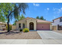 Charming single-story home featuring a well-manicured yard and a two-car garage at 14237 W Aster Dr, Surprise, AZ 85379