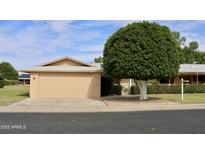 Charming single-story home with mature landscaping and a two-car garage at 10428 W Camelot Cir, Sun City, AZ 85351