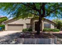 Charming single-story home featuring a well-maintained front yard and mature shade tree at 4544 E Campo Bello Dr, Phoenix, AZ 85032