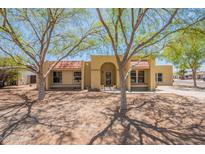 Inviting single-story home with desert landscaping and mature shade trees enhancing curb appeal at 717 W Chilton St, Chandler, AZ 85225