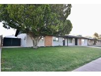 Charming single-story home featuring a well-manicured lawn and mature tree at 3310 W Sweetwater Ave, Phoenix, AZ 85029