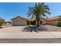 Charming single-story home featuring a terracotta roof, desert landscaping and a large palm tree in the front yard at 9123 W Utopia Rd, Peoria, AZ 85382
