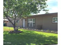 Charming single-story home with lush front yard, tree, and well-maintained landscaping at 1308 S Spur --, Mesa, AZ 85204