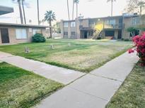 Spacious front yard and outdoor space for relaxation and leisure activities at 2377 W Hazelwood St, Phoenix, AZ 85015