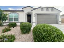 Charming single-story home with neutral stucco, gray accents, and a well-maintained landscaped front yard at 18100 N Piccolo Dr, Maricopa, AZ 85138
