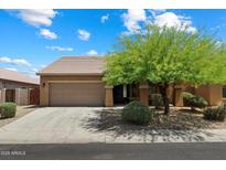 Charming single-story home featuring a well-maintained yard and a two-car garage in a Gathering-friendly neighborhood at 125 N 107Th Dr, Avondale, AZ 85323