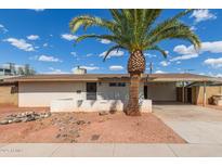 Charming single-story home featuring desert landscaping and a mature palm tree enhancing curb appeal at 8033 N 56Th Ave, Glendale, AZ 85302