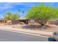 Charming single-story brick home with desert landscaping and mature trees at 2524 E Elmwood St, Mesa, AZ 85213