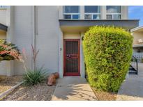 Charming front entrance with a secure screen door and decorative landscaping at 7319 E Northland Dr # 5, Scottsdale, AZ 85251