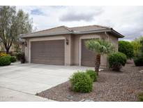 Attached two-car garage with brown doors and well-maintained landscaping at 20669 N 266Th Ave, Buckeye, AZ 85396
