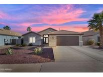 Charming single-story home featuring a well-manicured desert landscape and a two-car garage at 10305 E Plata Ave, Mesa, AZ 85212