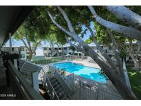 Beautiful community pool area surrounded by mature trees and lush landscaping at 749 E Montebello Ave # 231, Phoenix, AZ 85014