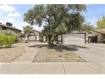Charming single-story home with a walkway leading to the front door, and a mature tree providing shade at 8234 W Sweetwater Ave, Peoria, AZ 85381