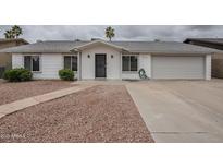 Charming single-story home with a well-maintained front yard and an attached two-car garage at 12228 S Pewaukee St, Phoenix, AZ 85044