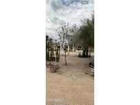 Charming exterior view showcasing a desert home featuring a quaint front yard with beautiful cactus accents at 4621 E Desert Forest Trl, Cave Creek, AZ 85331