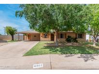 Charming single-story home with a well-maintained front yard and a mature shade tree at 6902 E Cypress St, Scottsdale, AZ 85257
