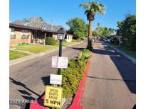 Neighborhood street view with palm trees, speed bumps sign, and quaint single-story residential buildings at 6729 N 16Th St # 21, Phoenix, AZ 85016
